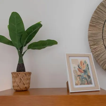 Apartment Cosy And Hyper Jean Medecin