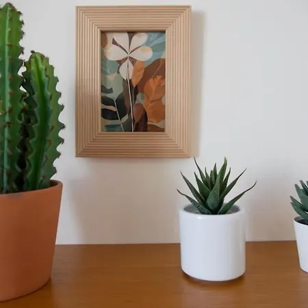 Cosy And Hyper Jean Medecin Apartment
