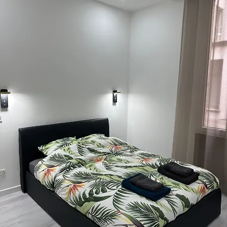 3 Pieces Proche Du Negresco Appartement *