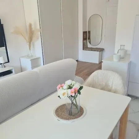 Superbe Luxueux Spacieux 50 M2 Port Appartement Nice