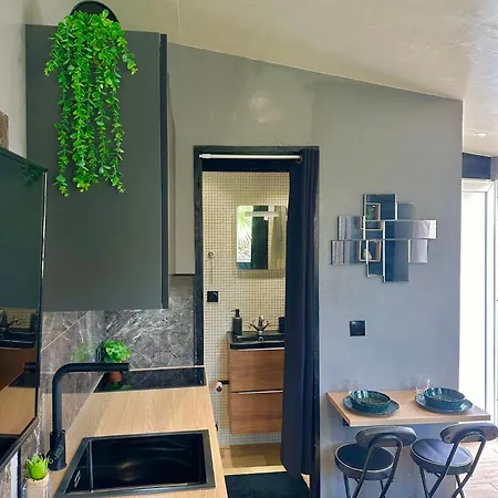 Jungle House Apartment Nice