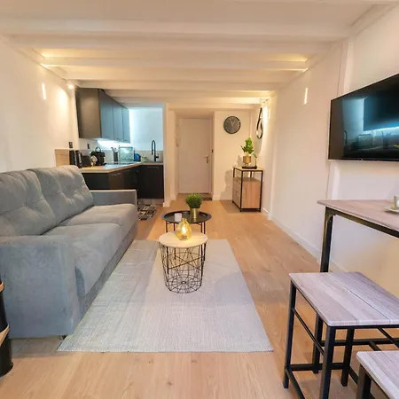 Apartment Joli Duplex Donnant Sur La Place Massena *