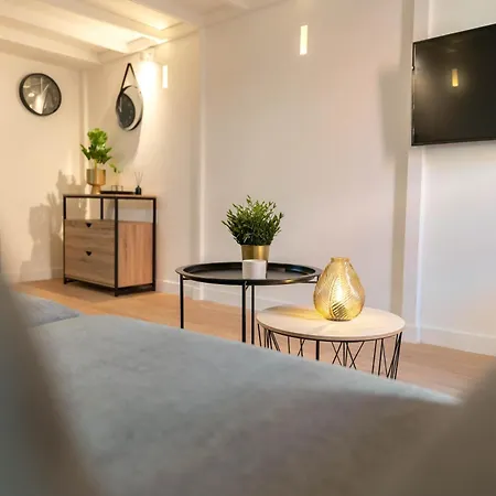 Joli Duplex Donnant Sur La Place Massena Apartment *