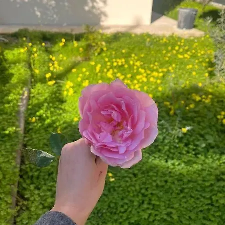 Jardin Secret A - 2 Pieces Nice