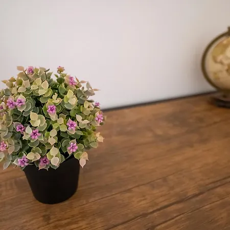 * Le Provençal * Cosy Flat 3 Min Walk From The Sea