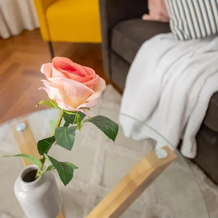 * Le Provençal * Cosy Flat 3 Min Walk From The Sea *