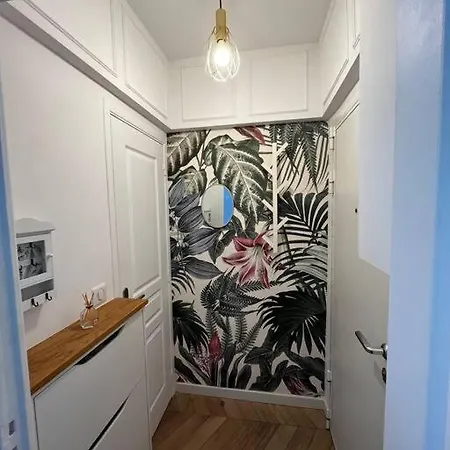 Charmant Et Petit Lumineux Studio Apartment Nice