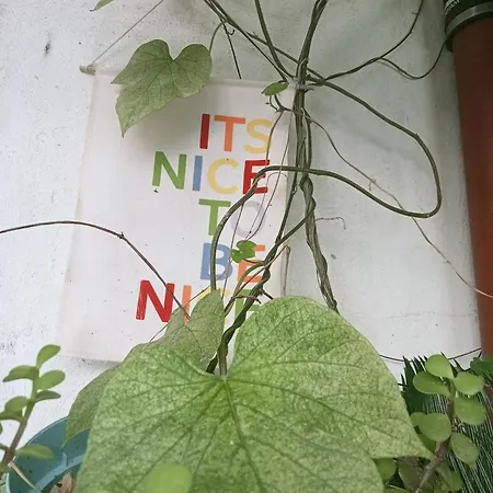 Un Jardin En Apartment Nice