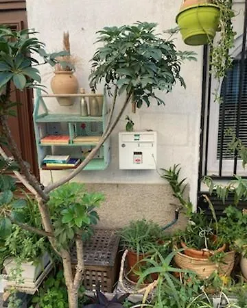 Un Jardin En Apartment *