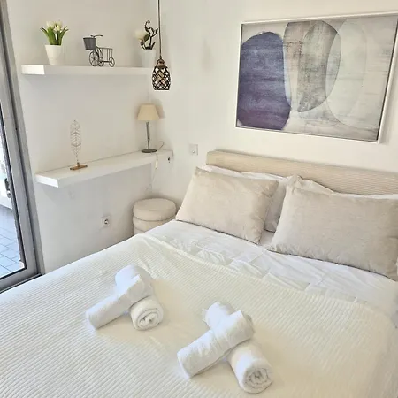 Appartement Superbe Luxueux Spacieux 50 M2 Port