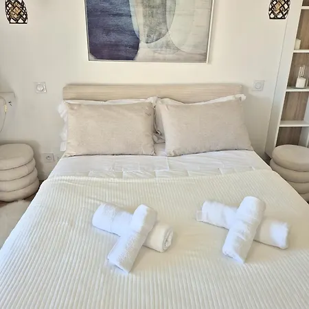 Appartement Superbe Luxueux Spacieux 50 M2 Port *