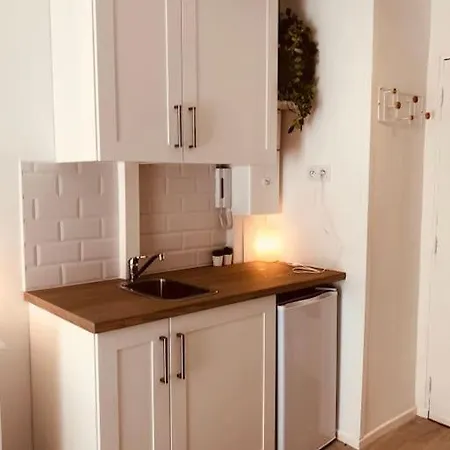 Calme Et Lumineux / 1 Min. Gare Thiers Apartment Nice