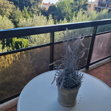 Les Palmiers à 700m De La Appartement Nice
