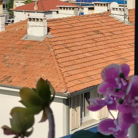 3 Pièces Bord De Appartement