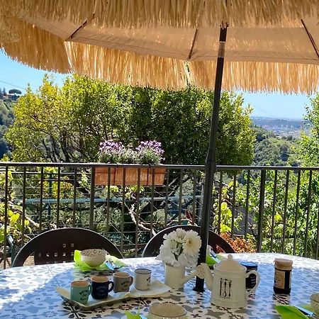 L'echappee Belle - Vineyard-jacuzzi And Bbq Apartment Nice