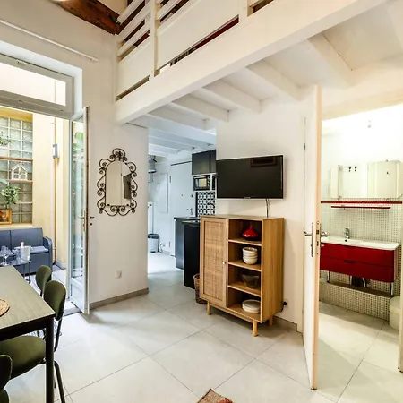 Appartement Jolie Duplex Avec Patio Nice