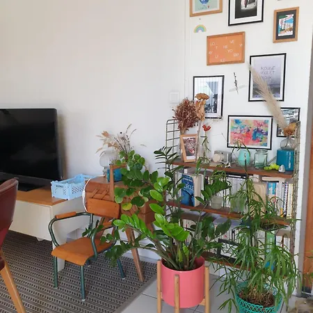 Bel Lumineux T3 Terrasse Appartement Nice