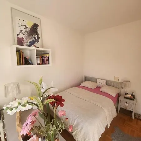 Apartment Free Parking! 3 Pieces Calme Proche Port & Centre Nice