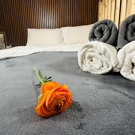 Appartement Amber - Highlights And