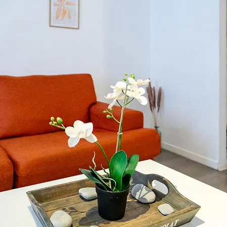 Vieux-nice 2p Climatisé Balcon Appartement Nice