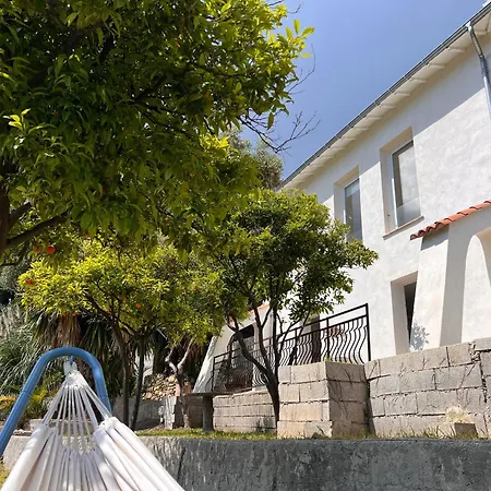 Petit Paradis Perche Au Coeur De Nice