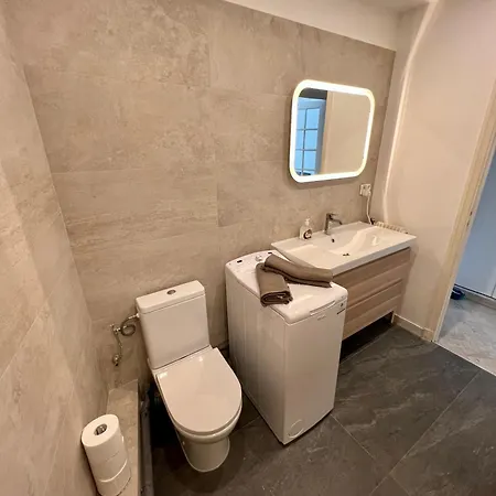 Appartement Cosy Et Lumineux ,boulevard Gambetta, *