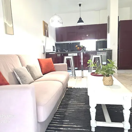 Le Palais Osiris Centre Jardin Wifi Clim Parking Apartment