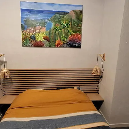 Au Coeur Du Vieux Appartement