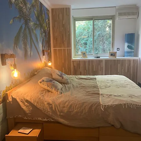 Centre Vue Avec Piscine Pour Famille, Couple D'amis Pas De Groupes De Jeunes Autorisés Appartement Nice
