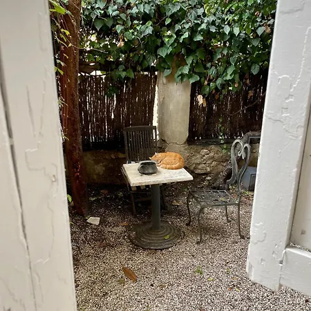 Hotel Garden 3*