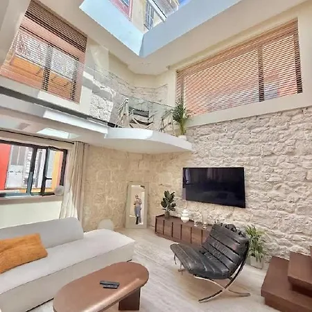 Luxurious Loft In Old Nice Apartment