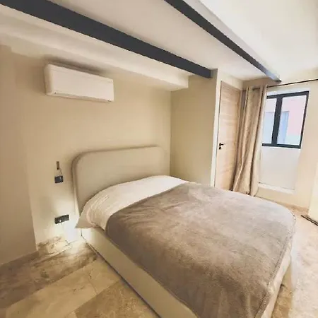 Luxurious Loft In Old Nice Nice