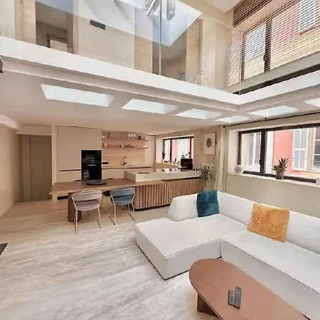 Luxurious Loft In Old Nice Apartment