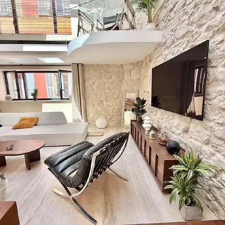 Luxurious Loft In Old Nice Nice