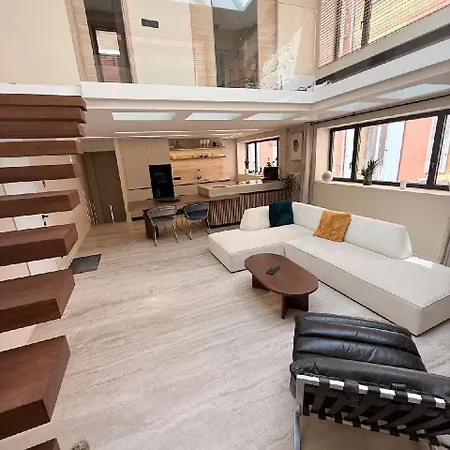 Apartment Luxurious Loft In Old Nice Nice