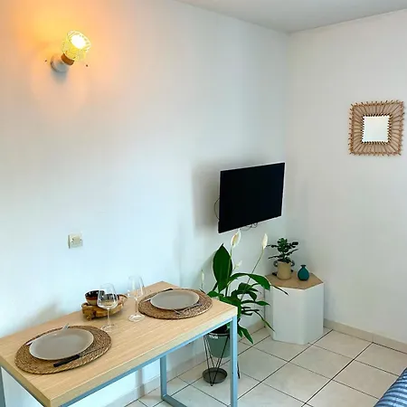 Charming With Swimming Pool Appartement Nice