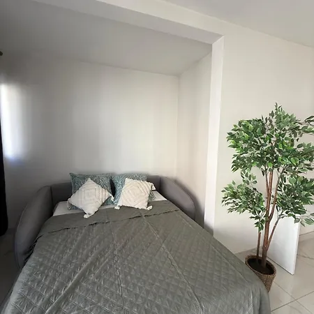 Appartement Magnifique 3 Pièces à 100m De La Nice