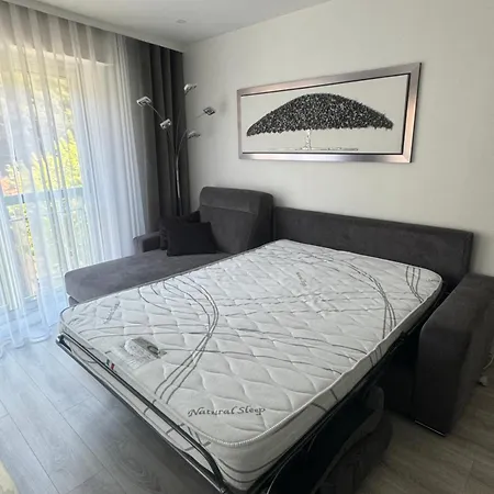 Neuf Près De La Appartement