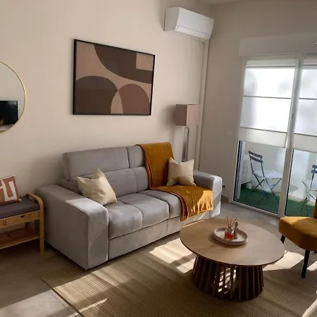 Apartment Virgil Barel Nice