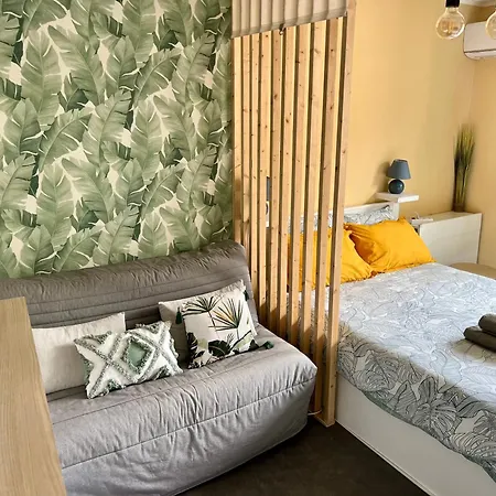 Palm Leaf Appartement Nice