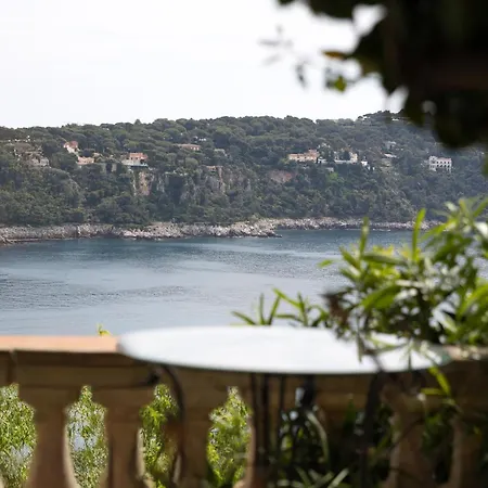 Belvedere Nice