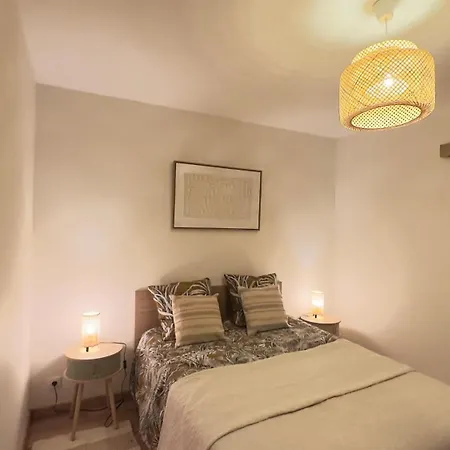 Charming And Spacious Two-room With Terrace Apartment Nice