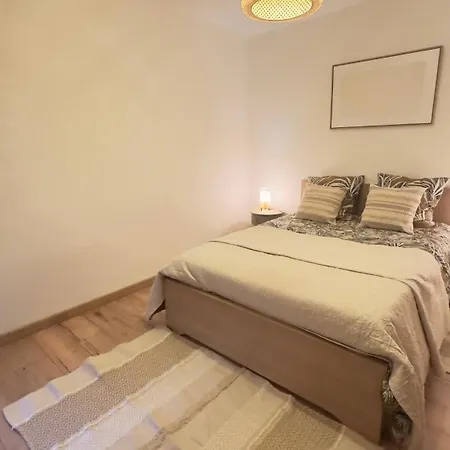 Apartment Charming And Spacious Two-room With Terrace Nice