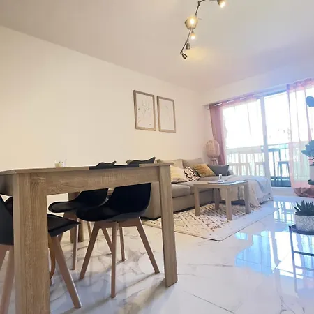 Charming And Spacious Two-room With Terrace Apartment Nice