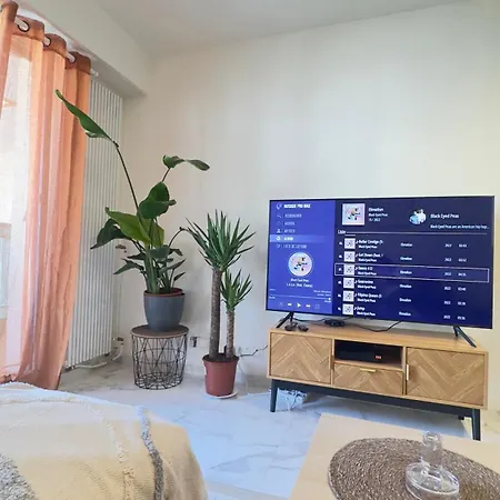 Charming And Spacious Two-room With Terrace Apartment Nice