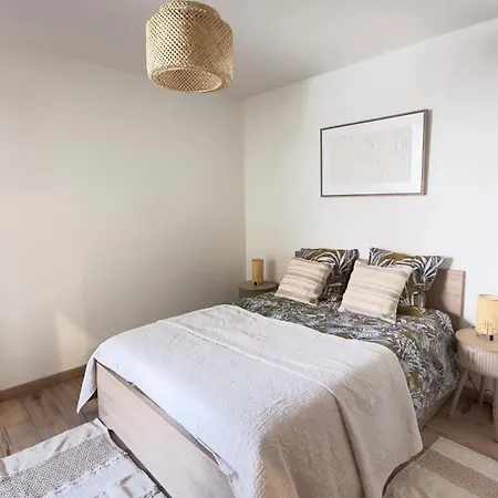 Apartment Charming And Spacious Two-room With Terrace Nice
