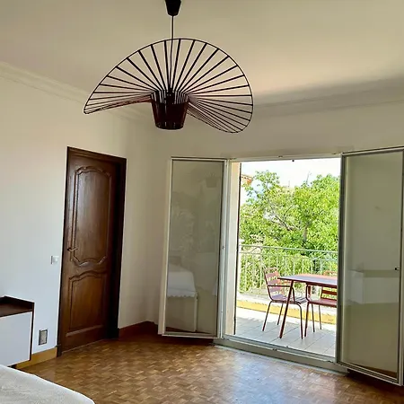 Apartment Passiflore With Garden And Private Swimming Pool Nice
