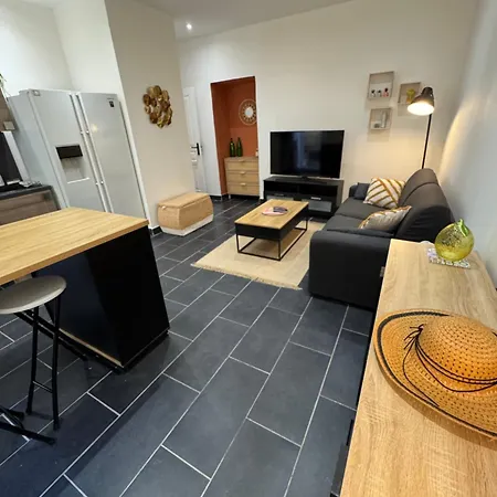 Joli 2 Pieces Avec Terrasse En Centre Apartment