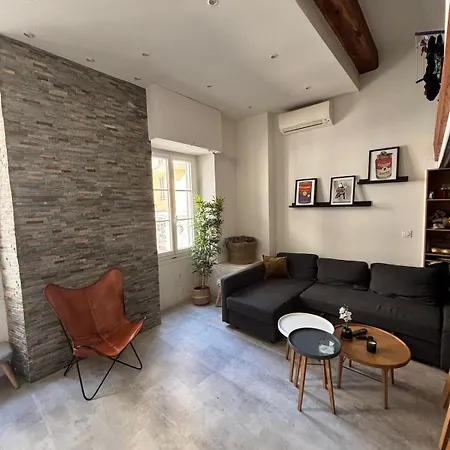 Spacieux Centre De Apartment Nice