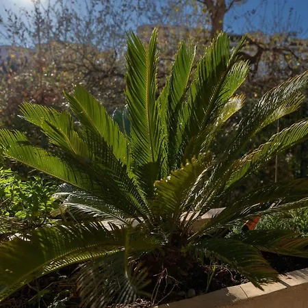 Apartment Le Botanica *